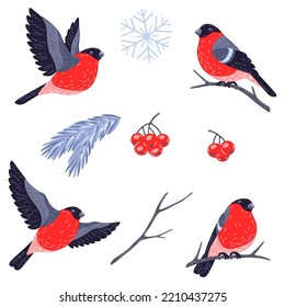 Winter set of birds bullfinches and plants. Merry Christmas and Happy New Year card.