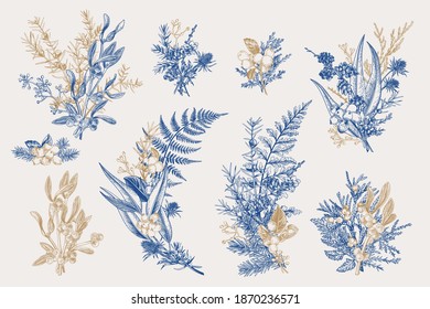 Winter Set. Botanical Vector Illustration. Floristic Bouquets. Blue And Gold.