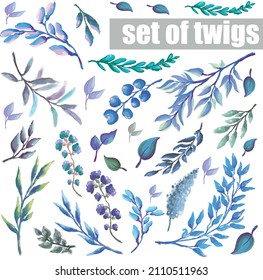 winter set of branches and leaves of plants, illustration of christmas elements of botany, vector