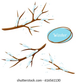 Winter set with branches of tree and snow. Seasonal illustration.