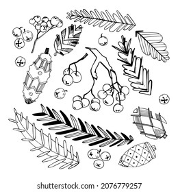 Winter set of elements, drawing by hand. Cones, spruce branches, berries.
