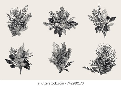 Winter set. Floral christmas bouquets. Evergreen, cone, succulents, flowers, leaves, berries. Botanical vector vintage illustration. Black and white