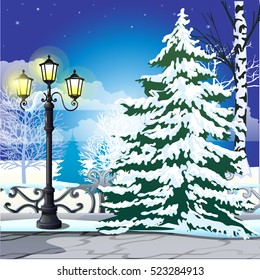 Winter sketch on the background of snowy spruce and vintage street lamp in the Park. Sample of Christmas and New year greeting card, festive poster or party invitations. Vector illustration.