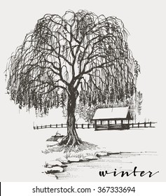 Winter Sketch, Willow Tree