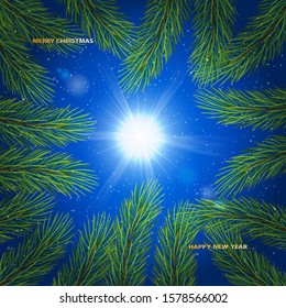 
Winter sky background. Christmas tree branches and sun. Holiday concept with green branch of pine.