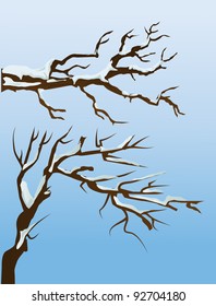 Winter snow branches