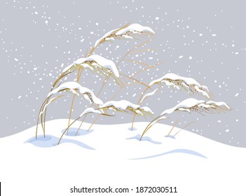 Winter snow covered meadow plants. Wild cereals under the snow on gray background. Winter scenery fragment with simple dried grasses in snowfall vector flat illustration. 