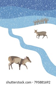 Winter snow scene with muntjac deer