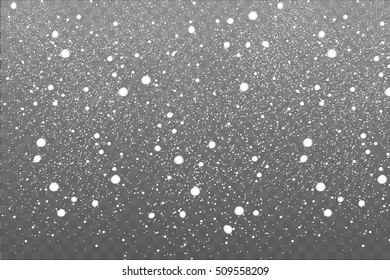 Winter with snow in transparent background