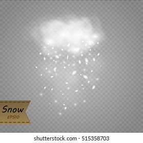 Winter with snow in transparent background