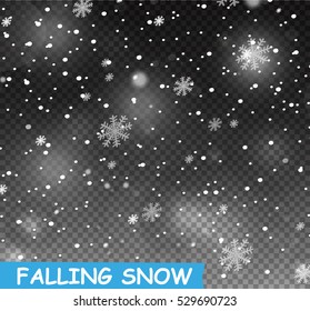 Winter with snow in transparent background