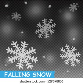 Winter with snow in transparent background