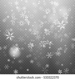 Winter with snow in transparent background