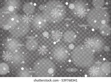 Winter with snow in transparent background