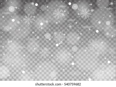 Winter with snow in transparent background