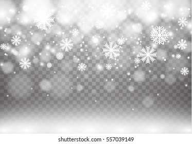 Winter with snow in transparent background