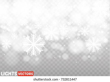 Winter with snow in transparent background