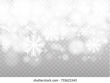Winter with snow in transparent background
