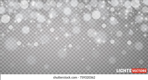 Winter with snow in transparent background