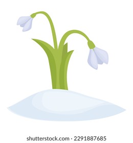 Winter snowdrop icon cartoon vector. Spring flower. Petal blossom