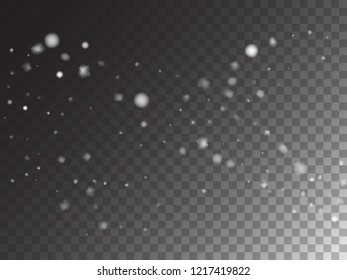 Winter Snowfall Ice Texture Vector Transparent Background. Isolated Realistic Snow Confetti Falling Down, Cold Night Scatter. Christmas New Year Ad Pattern, Gray Scale Realistic Winter Snowfall Border