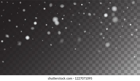 Winter Snowfall Ice Texture Vector Transparent Background. Realistic Snow Confetti Falling Down, Isolated Snowflake Scatter. Christmas New Year Hipster Gray Scale Realistic Winter Snowfall Border