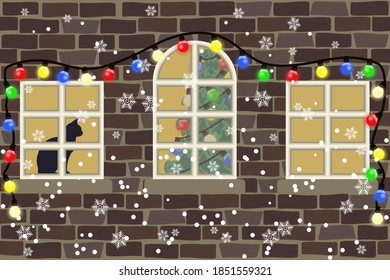 winter, snowfall, the wall of a brick house with windows, a tree and a cat are visible in the windows.