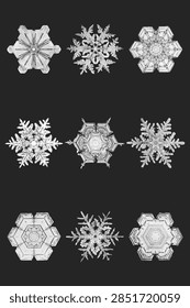 Winter snowflake vector macro photography set, remix of art by Wilson Bentley