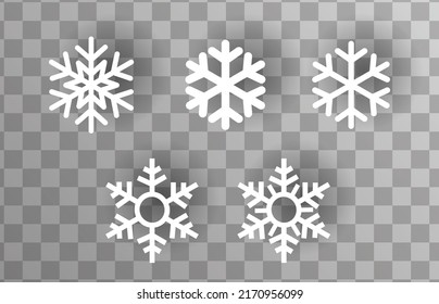 Winter snowflakes set vector with five elements