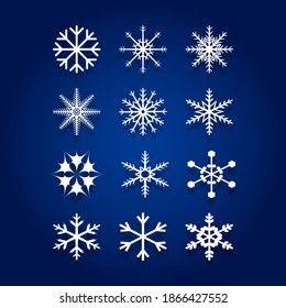 Winter snowflakes set vector illustration