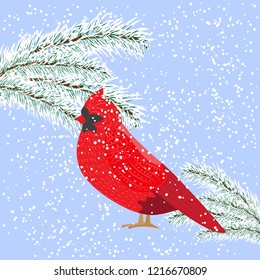Winter snowy day, bird Cardinal looks at the snowy fir-tree, vector Illustration