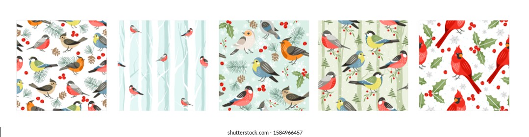 Winter songbirds flat vector seamless patterns set. Cold season birds cartoon illustrations. Cute red cardinal, robin and blue tits with mistletoe leaves and berries. Christmas wrapping paper design.