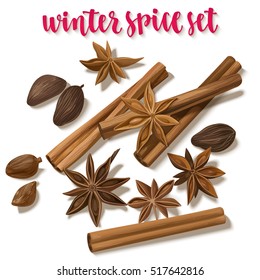 Winter spice. Decorative vector illustration and handwritten brush lettering for your design. Isolated cinnamon, star anise, cardamom and nutmeg on white background.
