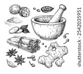 Winter spice vector drawing. Flavoring seeds and herbs for Christmas food and drinks. Set with  mortar pestle, cinnamon, vanilla, star anise , ginger, nutmeg and other. Mulled wine ingredients sketch