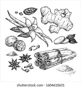 Winter spice vector drawing. Flavoring seeds and herbs for christmas food and drinks. Set with cinnamon, vanilla, star anise , ginger, nutmeg and other. Mulled wine ingredients sketch.