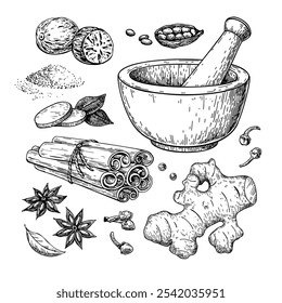 Winter spice vector drawing. Flavoring seeds and herbs for Christmas food and drinks. Set with  mortar pestle, cinnamon, vanilla, star anise , ginger, nutmeg and other. Mulled wine ingredients sketch