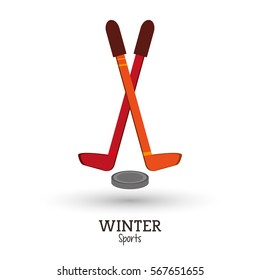 winter sport hockey sticks puck design