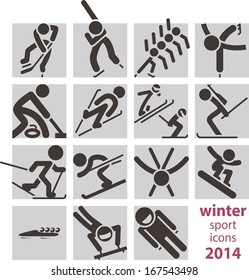 Winter sport icons 2014