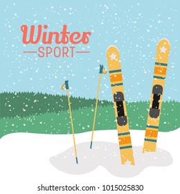 Winter sport illustration