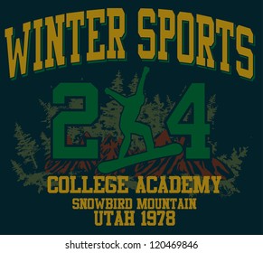 winter sports