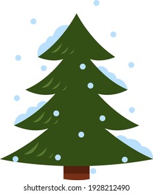 Winter spruce with snow, illustration, vector on white background.