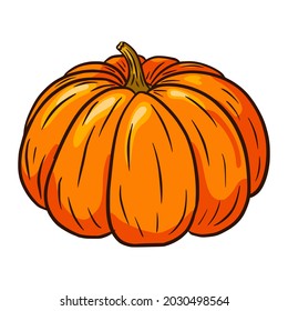 Ilustración De Esquash De Invierno. Estilo de caricatura. Icono de la calabaza otoñal. Esbozo de calabaza madura. Elemento para el diseño decorativo de otoño, invitación a halloween, cosecha, pegatina, impresión, logo, menú, receta
