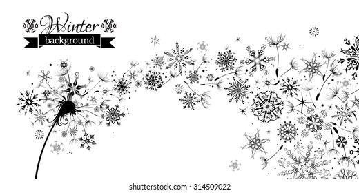 Winter and Summer. Winter Dandelion Background. Black flying dandelion fluffs and snowflakes on white background. There is place for your text. 