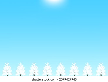 Winter sun, blue sky, white coniferous forest background