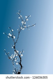 winter sweet