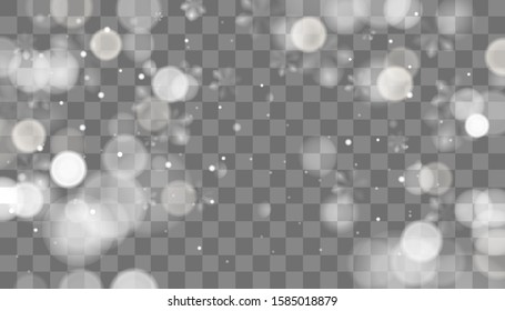 Winter transparent snowflakes design vector template