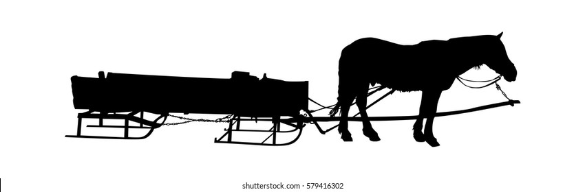 Winter transportation. Horse harnessed to a sledge.