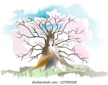 winter tree
