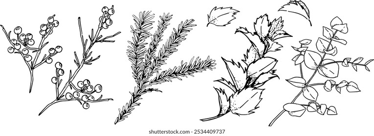 Ilustración de línea de rama de árbol de invierno