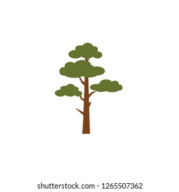 Winter tree icon. Green tree icon. 